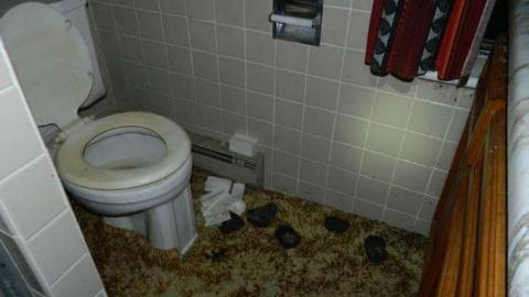 Luther Marsh - Luther-Marsh-Farmhouse8.jpg