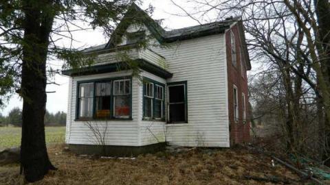 Wilby Good in Baden - DSCN5983.jpg