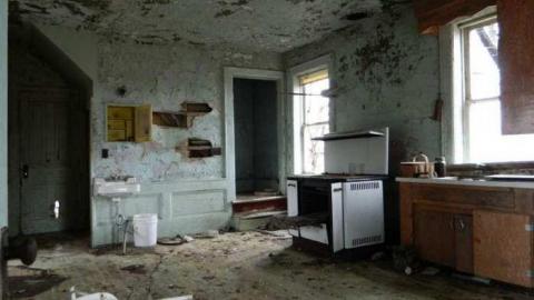 Wilby Good in Baden - DSCN5995.jpg