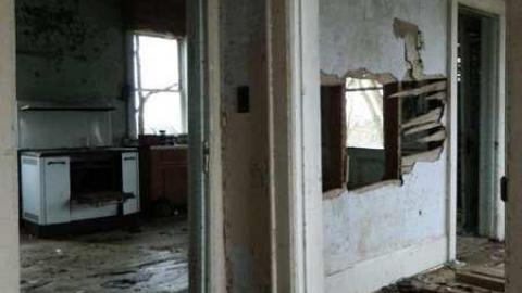 Wilby Good in Baden - DSCN6181.jpg