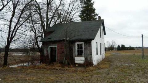 Wilby Good in Baden - DSCN6214.jpg