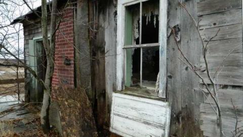 Wilby Good in Baden - DSCN6239.jpg