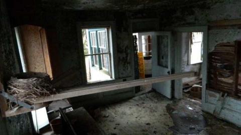 Wilby Good in Baden - DSCN6276.jpg