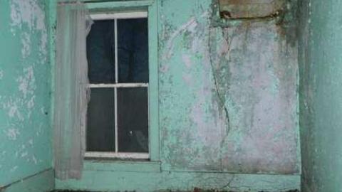 Wilby Good in Baden - DSCN6639.jpg