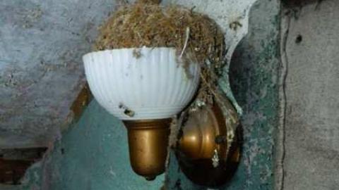 Wilby Good in Baden - DSCN6435.jpg