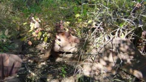 old house 2 - 032.jpg