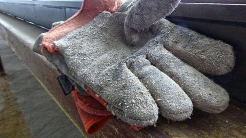 Canadian Tire Asbestos - Canadian-Tire-Acceptance17.jpg