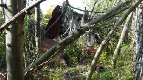 old house 2 - 033.jpg