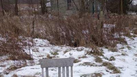 Dec 8/13 - Farm-on-GR-1385.jpg