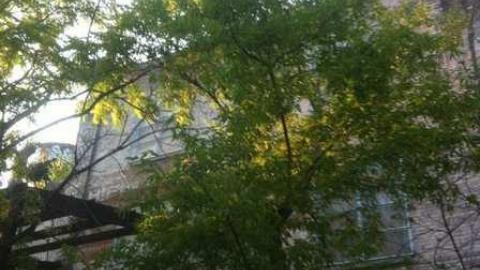 Toronto Missions - Linseed-Factory591.jpg