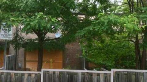 Photo from Rexdale Romp