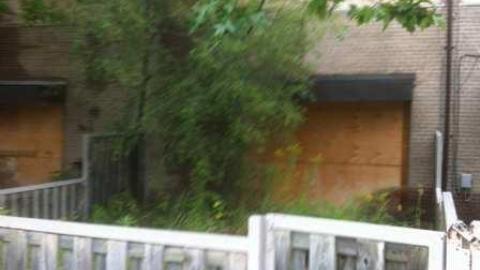 Rexdale Romp - Ghetto-Fabulous12.jpg