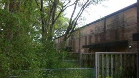 Photo from Rexdale Romp