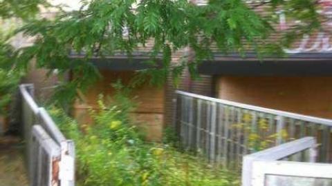 Rexdale Romp - Ghetto-Fabulous15.jpg