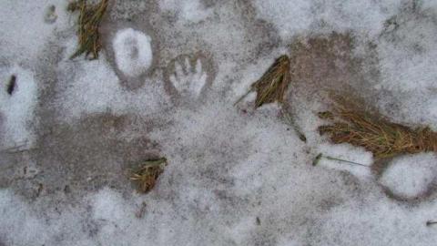 Power's out! - 427004_10151370735215533_2010619353_n.jpg