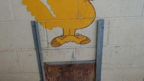 Dec 29/13 - DSC03497.jpg