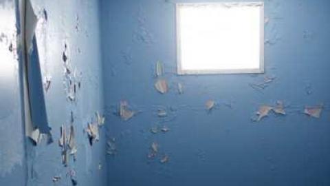 Dec 29/13 - DSC03502.jpg