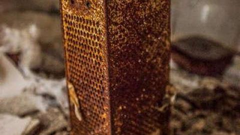 Double Penetration - 56 122peter-6964.jpg