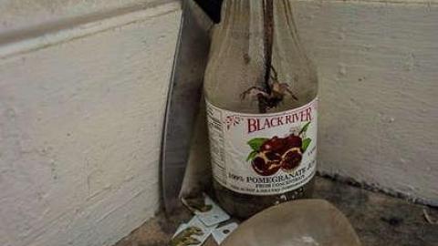 Double Penetration - 63 122peter-6943.jpg