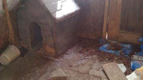 Within Range photo 2