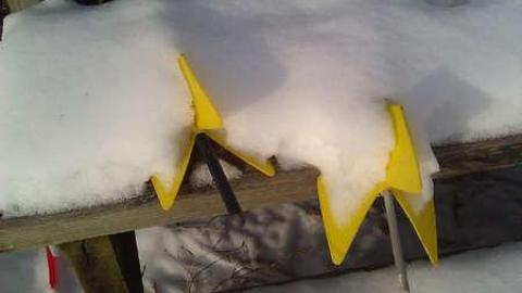 Within Range photo 5