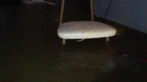 Within Range photo 3