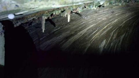 2013 visit - Erindale-Hydro-Tunnel43.jpg