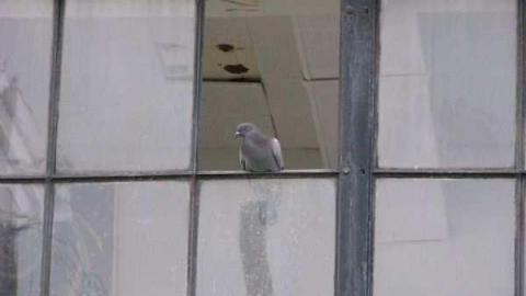 City of Ottawa Workshops photo 3