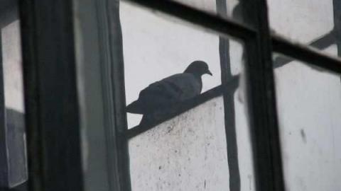 City of Ottawa Workshops photo 5