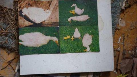 Nov 23/13 - DSC00965.jpg