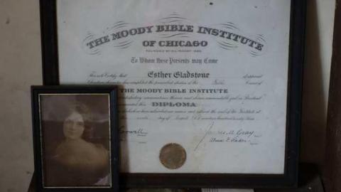 Nov 23/13 - DSC01084.jpg