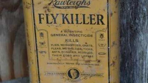 Nov 23/13 - DSC01106.jpg