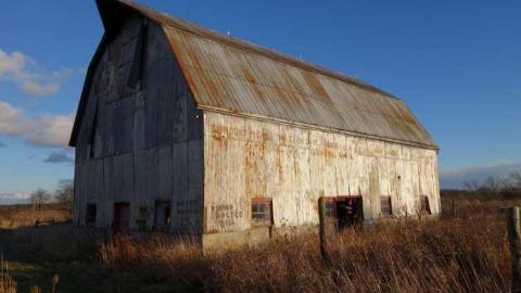 Nov 23/13 - DSC01116.jpg