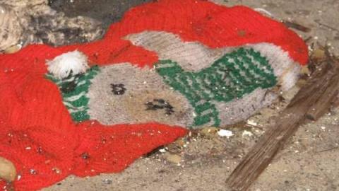 house # 1 - Three-in-a-Row4.jpg