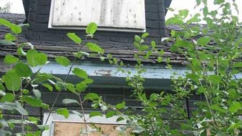 house # 3 - Three-in-a-Row14.jpg