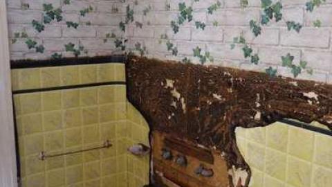 Hutchinson Jan 4/14 - Hurontario-Street214.jpg