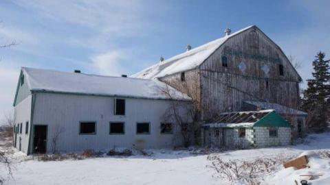 Hutchinson Jan 4/14 - Hurontario-Street223.jpg