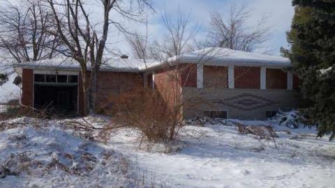 Jan 4/14 - Neighbour-to-276718.jpg