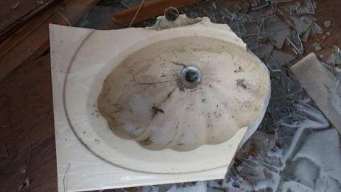 Jan 4/14 - Neighbour-to-276719.jpg