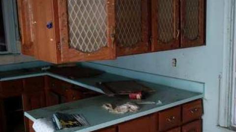 Jan 4/14 - Neighbour-to-276713.jpg