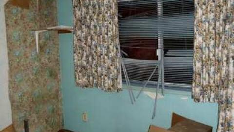 Jan 4/14 - Neighbour-to-276714.jpg