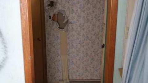 Jan 4/14 - Neighbour-to-276717.jpg