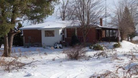 Jan 4/14 - Neighbour-to-276716.jpg