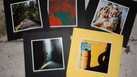 Peter's Beauty - DSCN0343.jpg