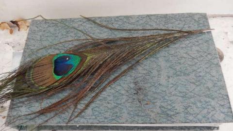 Photo from Peter's Beauty