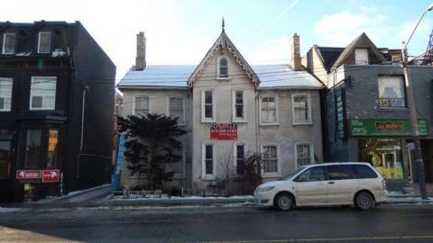 Peter's Beauty - DSCN0403.jpg