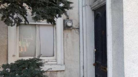 Peter's Beauty - DSCN0407.jpg