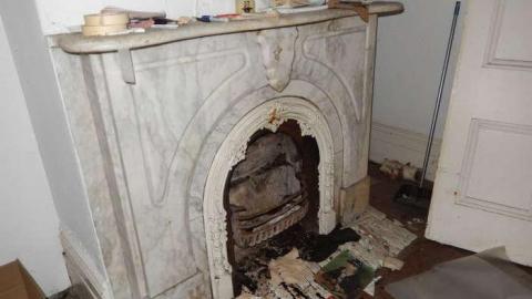 Peter's Beauty - DSCN0413.jpg