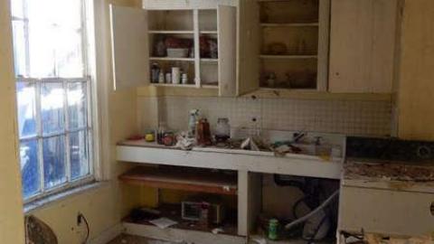 Peter's Beauty - DSCN0417.jpg