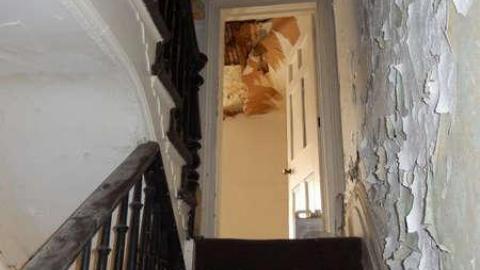 Peter's Beauty - DSCN0422.jpg